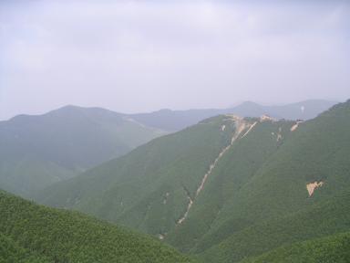 高野山