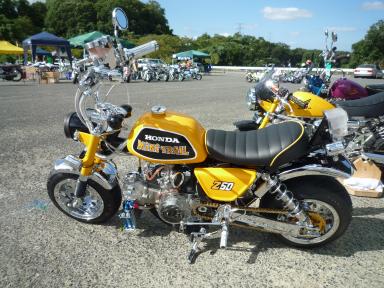 兵庫県グリーンピア三木カスタム4MINIフェスタ