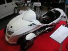 千葉県幕張メッセ AUTO SALON 2009 TOKYO 車